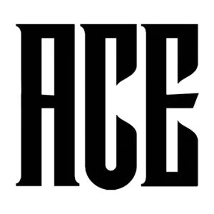 Ace Sunglasses